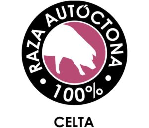 porco-celta